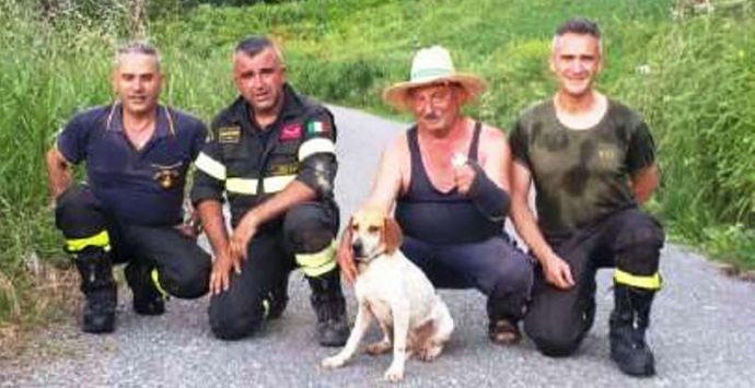 Cane si perde e sprofonda in un dirupo, ritrovato dai Vigili del fuoco