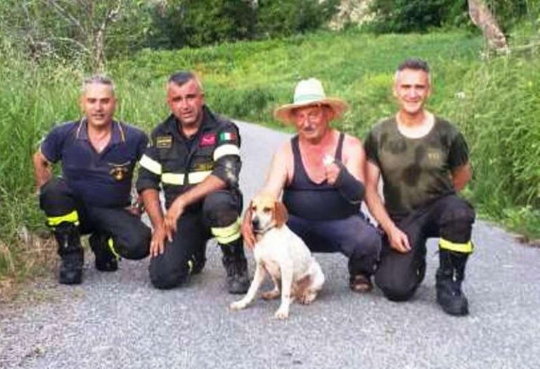 Cane si perde e sprofonda in un dirupo, ritrovato dai Vigili del fuoco