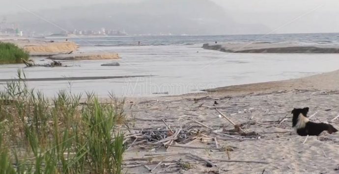 Inquinamento alla foce del Mesima, nulla è cambiato nonostante i buoni propositi – Video