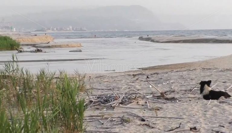 Inquinamento alla foce del Mesima, nulla è cambiato nonostante i buoni propositi – Video