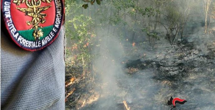 Mancata prevenzione degli incendi, sanzioni per 4.500 euro nel Vibonese
