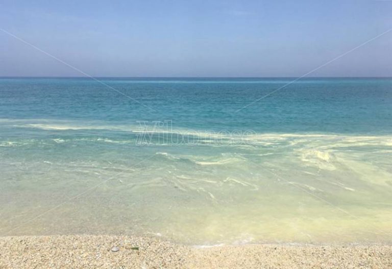 Mare “giallo” lungo la costa vibonese, l’Arpacal: «E’ polline di pino»