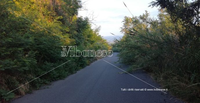 Provinciale Mileto-Dinami fra sterpaglie e rovi