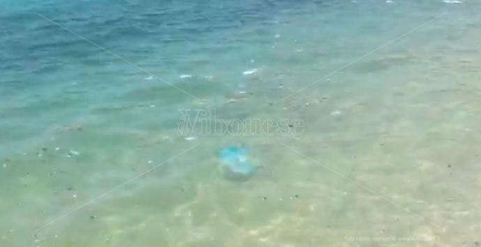 Nicotera Marina, il mare sporco dà il “benvenuto” all’estate – Video