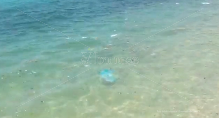 Nicotera Marina, il mare sporco dà il “benvenuto” all’estate – Video