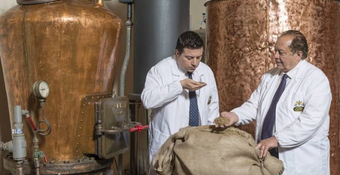 Non solo Amaro del Capo, il gruppo Caffo trionfa alla Sip Awards International Spirits