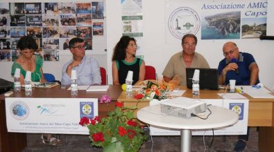 I fondali di Capo Vaticano scrigno di biodiversità, presentato il progetto di tutela – Video