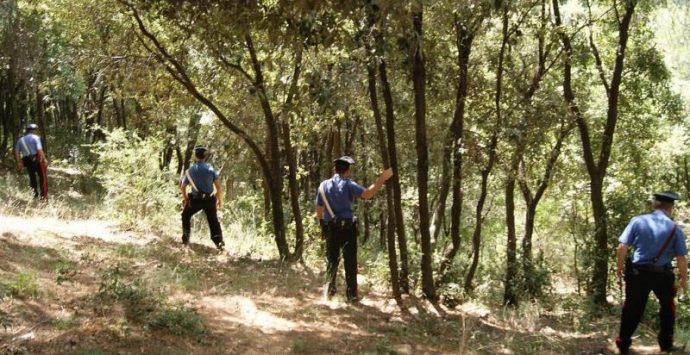 Donna scompare da Rombiolo, avviate le ricerche
