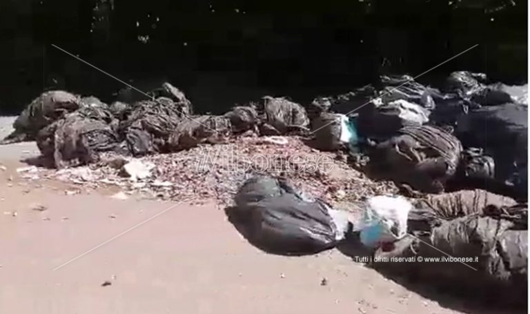 Rombiolo, zona industriale trasformata in discarica – Video