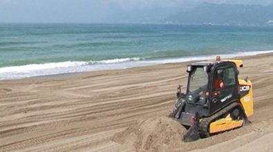 Niente ruspe sulle spiagge di Parghelia, il Wwf plaude al Comune
