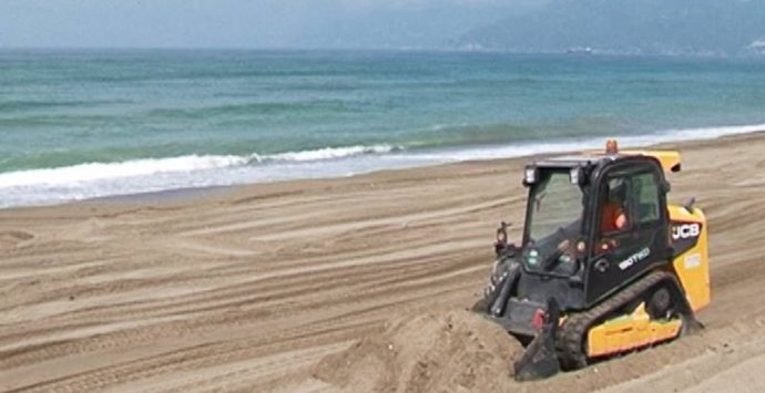 «Proteggiamo le spiagge delle tartarughe e del fratino»