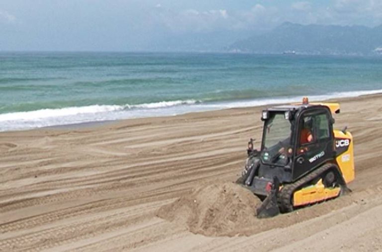 «Proteggiamo le spiagge delle tartarughe e del fratino»