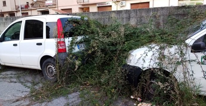 Vibo, auto abbandonate avvolte dai rovi: l’appello di un cittadino