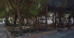 La pinetina di Vibo Marina