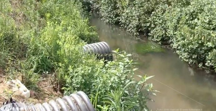 Inquinamento del Mesima, il Comune di Rosarno “autorizzato” a sversare liquami – Video