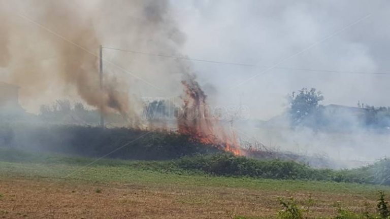 Sterpaglie in fiamme in contrada Bitonto a Vibo: il rogo a pochi metri dalle abitazioni – Video