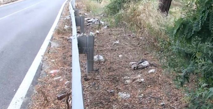 Rifiuti a bordo strada, spettacolo indecoroso lungo la Statale per San Gregorio – Video