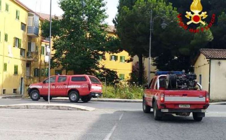 Incendi nel Siracusano, Vigili del fuoco vibonesi in soccorso dei colleghi siciliani