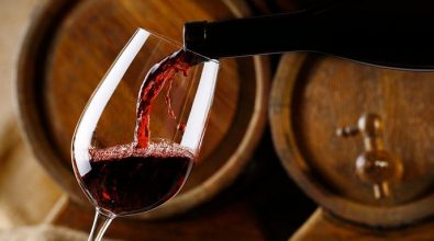 Per i vitivinicoltori calabresi arrivano 1,4 mln di euro: «Sostegno a settore di qualità»