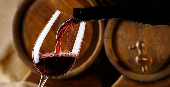 Per i vitivinicoltori calabresi arrivano 1,4 mln di euro: «Sostegno a settore di qualità»