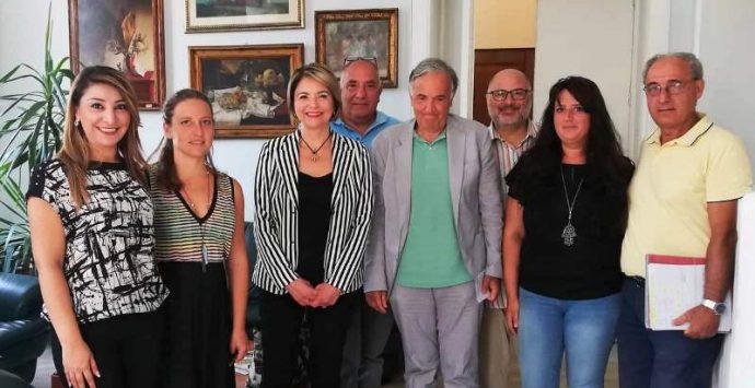 Randagismo a Vibo, approvate le procedure di sterilizzazione