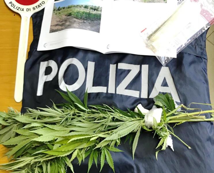 Marijuana in mezzo ai pomodori, la Polizia denuncia un ristoratore