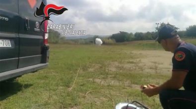Bombe carta sequestrate dai carabinieri a Cessaniti