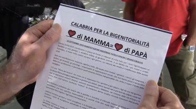 “Padri a metà”, a Vibo la protesta dei papà separati che non vedono i figli – Video