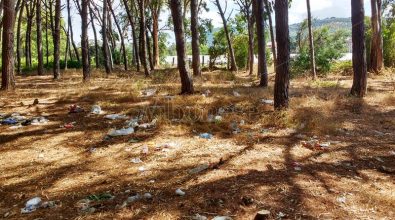 Plastic free, tornano gli appuntamenti in tutta Italia: a Pizzo si pulisce la pineta