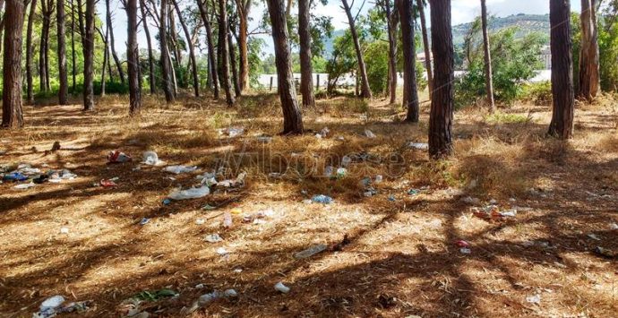 Plastic free, tornano gli appuntamenti in tutta Italia: a Pizzo si pulisce la pineta