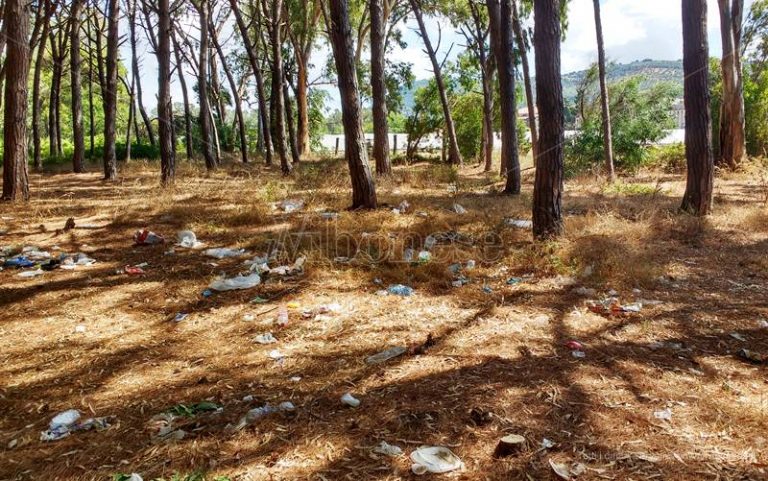 Plastic free, tornano gli appuntamenti in tutta Italia: a Pizzo si pulisce la pineta