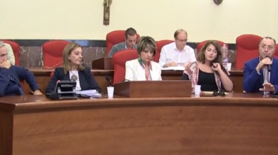 “La sanità vibonese impari dalla pandemia”, Maria Limardo convoca i sindaci