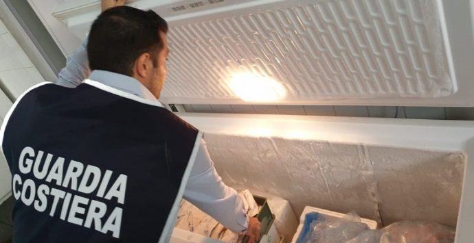 Guardia costiera di Vibo sequestra 35 chili di pesce nel Lametino