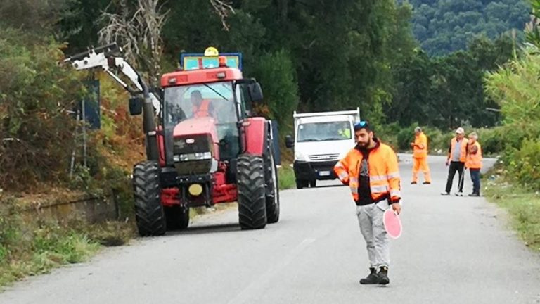 “Sulle strade provinciali esternazioni insensate, mai tanti interventi nel Vibonese”