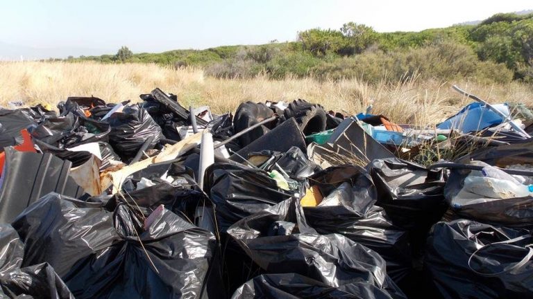Bonifica delle Dune dell’Angitola, già raccolti oltre settecento sacchi di rifiuti