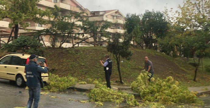 Tromba d’aria a Pizzo, danneggiati Comune e scuola dell’Infanzia – Foto