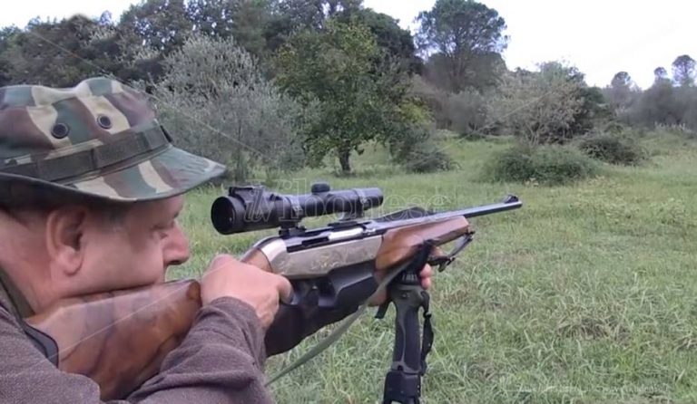 Cinghiali, l’Ambito territoriale Vibo1 “arma” i proprietari di fondi agricoli