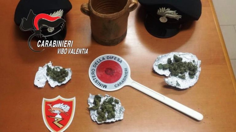 Spaccio di marijuana, i carabinieri arrestano un 22enne di Acquaro