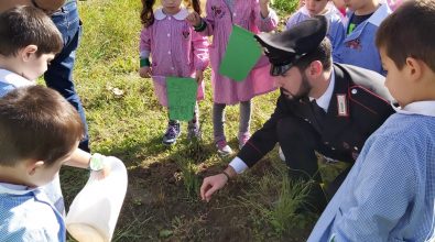 Successo nelle scuole di Joppolo per la giornata degli alberi