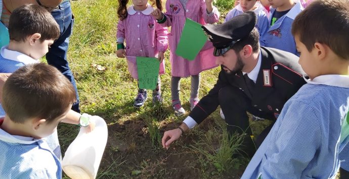 Successo nelle scuole di Joppolo per la giornata degli alberi