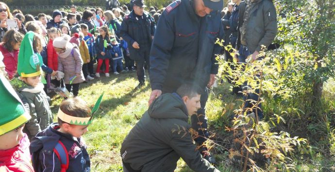 Festa dell’albero, iniziative a Mongiana e Vibo