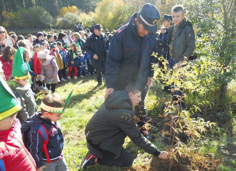 Festa dell’albero, iniziative a Mongiana e Vibo