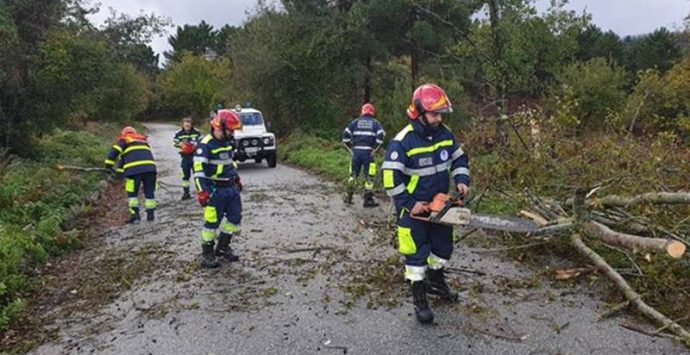 Maltempo nelle Serre, il gruppo Prociv di Mongiana impegnato nel ripristino della viabilità