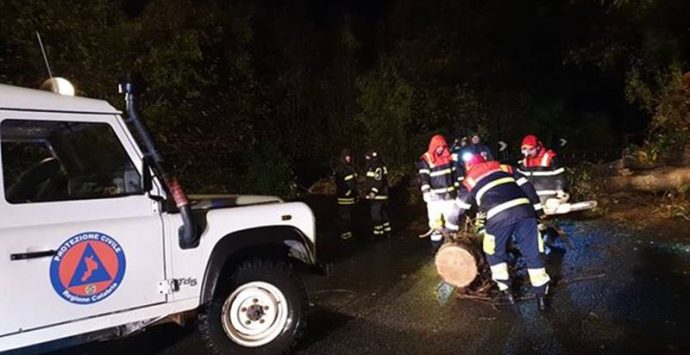 Maltempo nelle Serre, il gruppo Prociv di Mongiana impegnato nel ripristino della viabilità