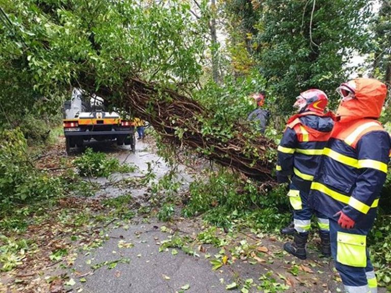 Maltempo nelle Serre, il gruppo Prociv di Mongiana impegnato nel ripristino della viabilità