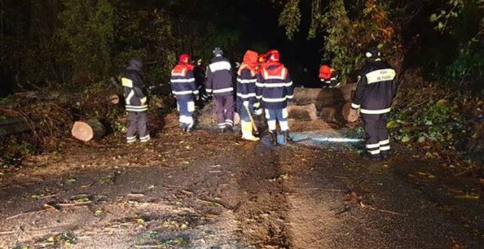 Maltempo nelle Serre, il gruppo Prociv di Mongiana impegnato nel ripristino della viabilità