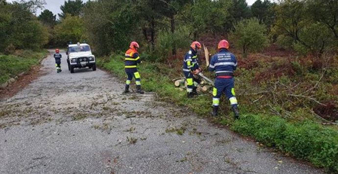 Maltempo nelle Serre, il gruppo Prociv di Mongiana impegnato nel ripristino della viabilità