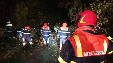 Mongiana, il Gruppo di Protezione civile traccia il bilancio delle attività