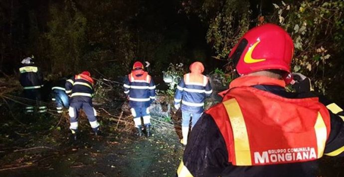 Maltempo nelle Serre, il gruppo Prociv di Mongiana impegnato nel ripristino della viabilità