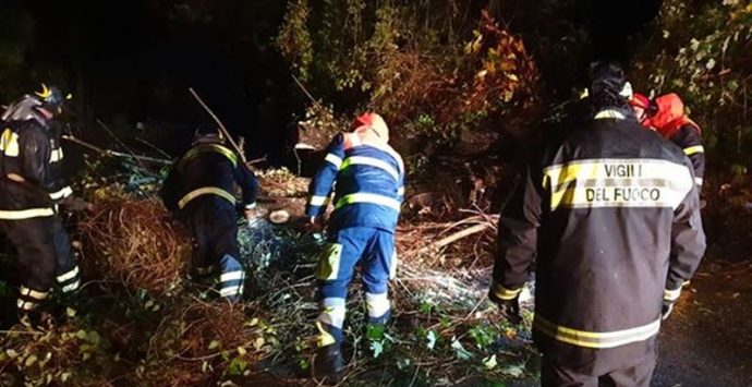 Maltempo nelle Serre, il gruppo Prociv di Mongiana impegnato nel ripristino della viabilità